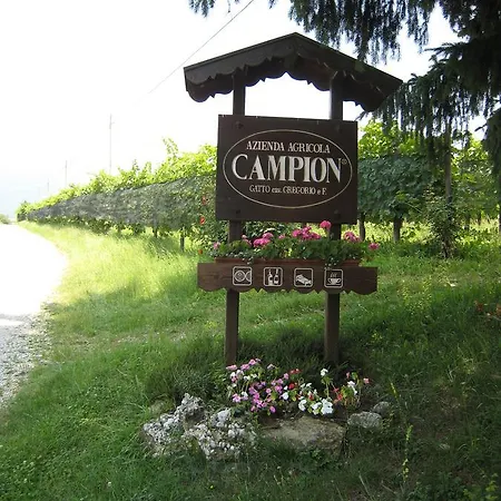 Azienda Agricola Campion
